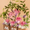Picture of Savanna Mom  Flowers Box