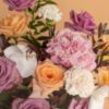 Picture of Savanna Royal Petal