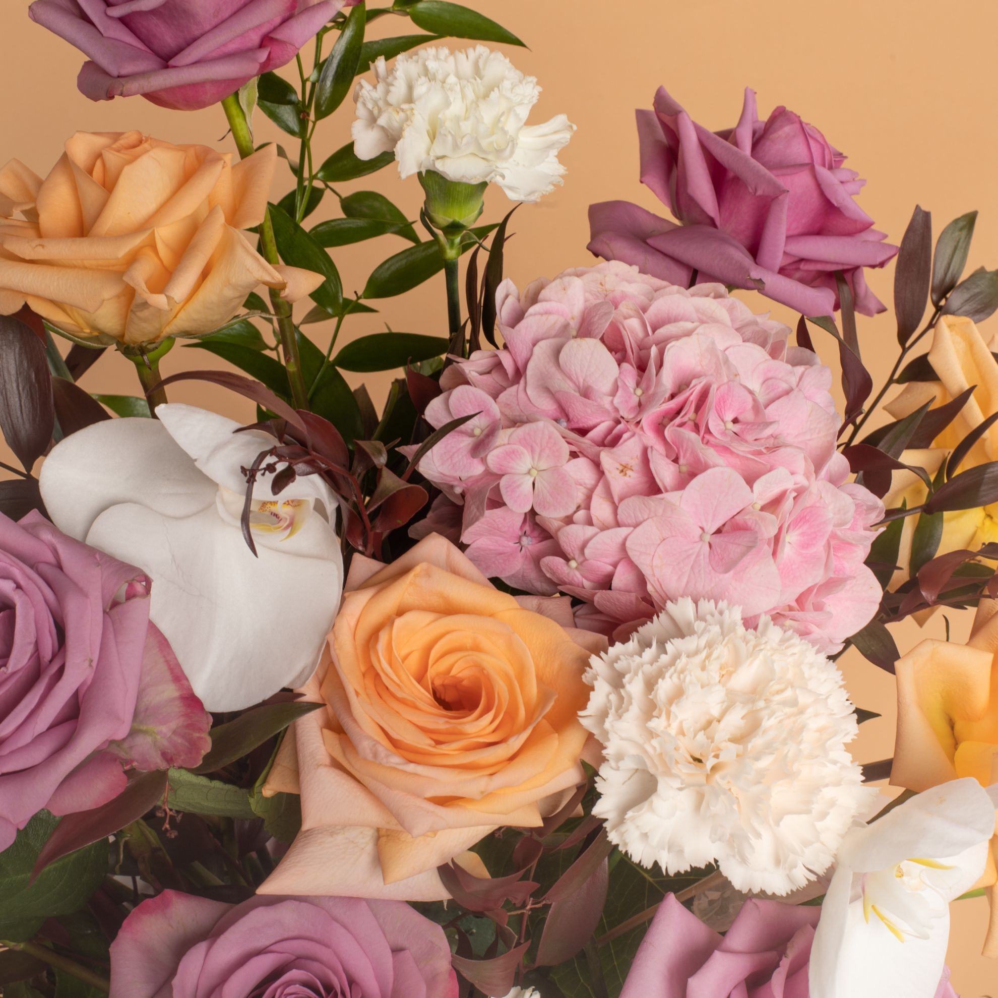 Picture of Savanna Royal Petal