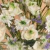 Picture of Savanna Crystal Garden