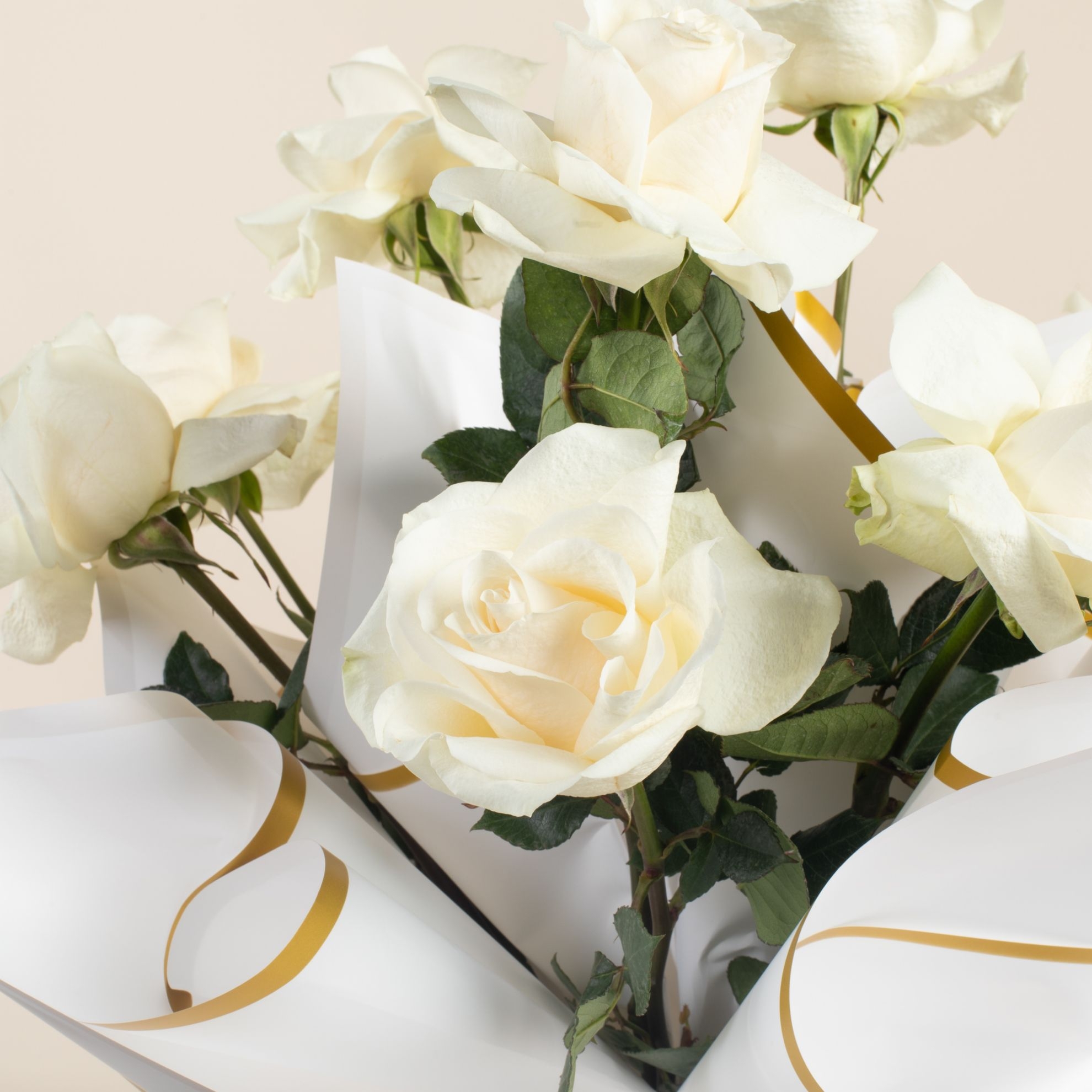Picture of Savanna Graduation Bouquet |10 White Roses