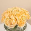 Picture of savanna graduation vase |Peach Rose