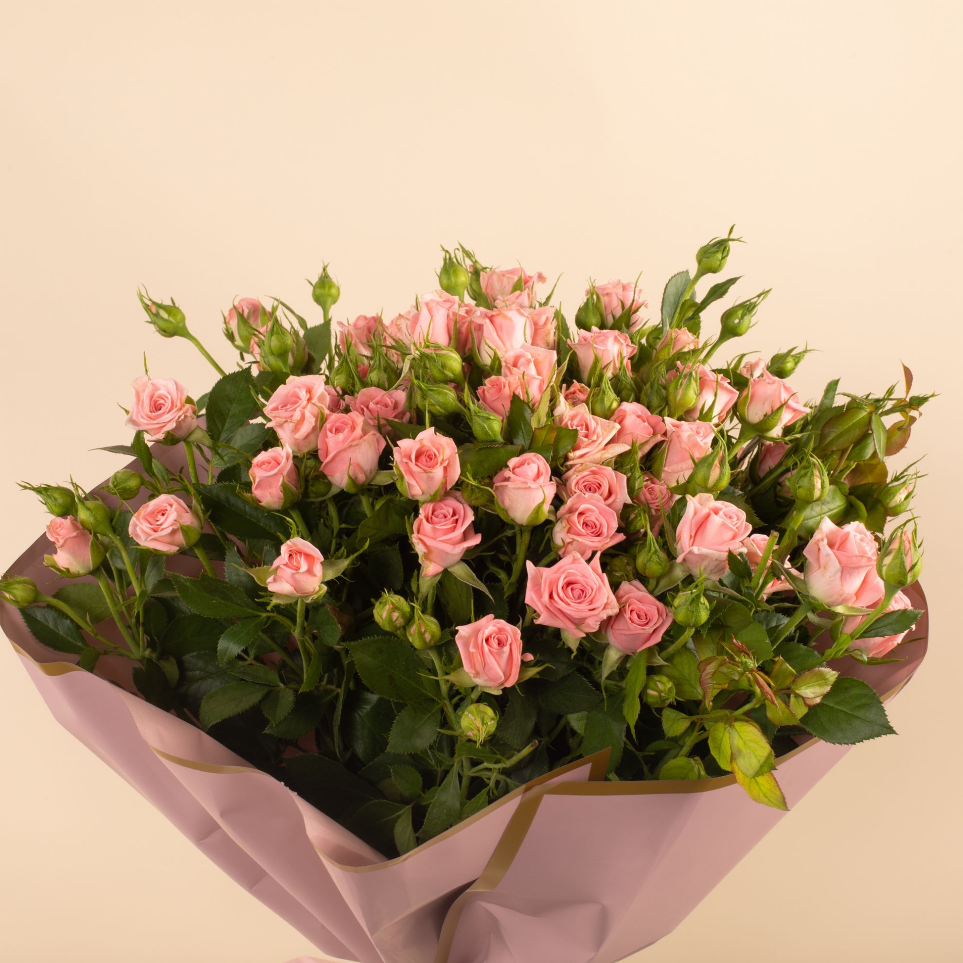 Picture of Graduation Baby Rose Pink Flowers