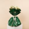 Picture of Graduation Baby Rose White Flowers