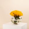 Picture of Graduation vase |20 Yellow Roses