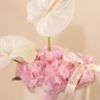 Picture of Graduation Flowers Box |Hydrangea Pink