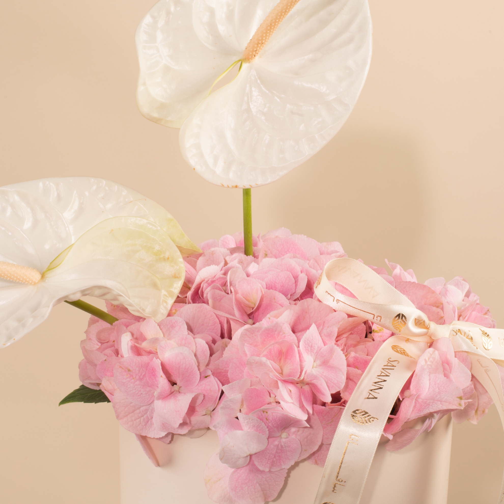 Picture of Graduation Flowers Box |Hydrangea Pink