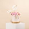 Picture of Graduation Flowers Box |Hydrangea Pink