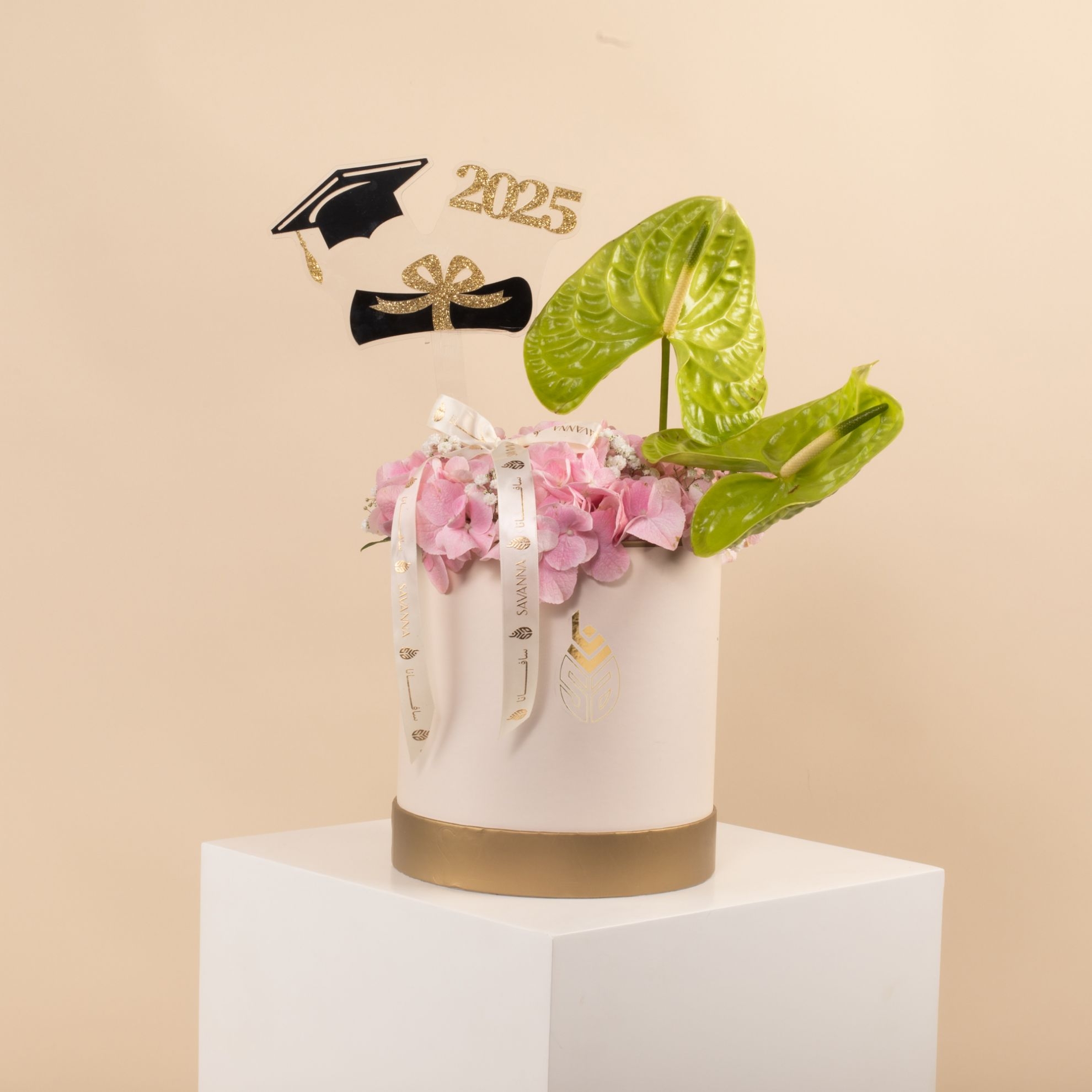 Picture of Graduation box |Anthurium Green