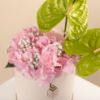 Picture of Graduation box |Anthurium Green