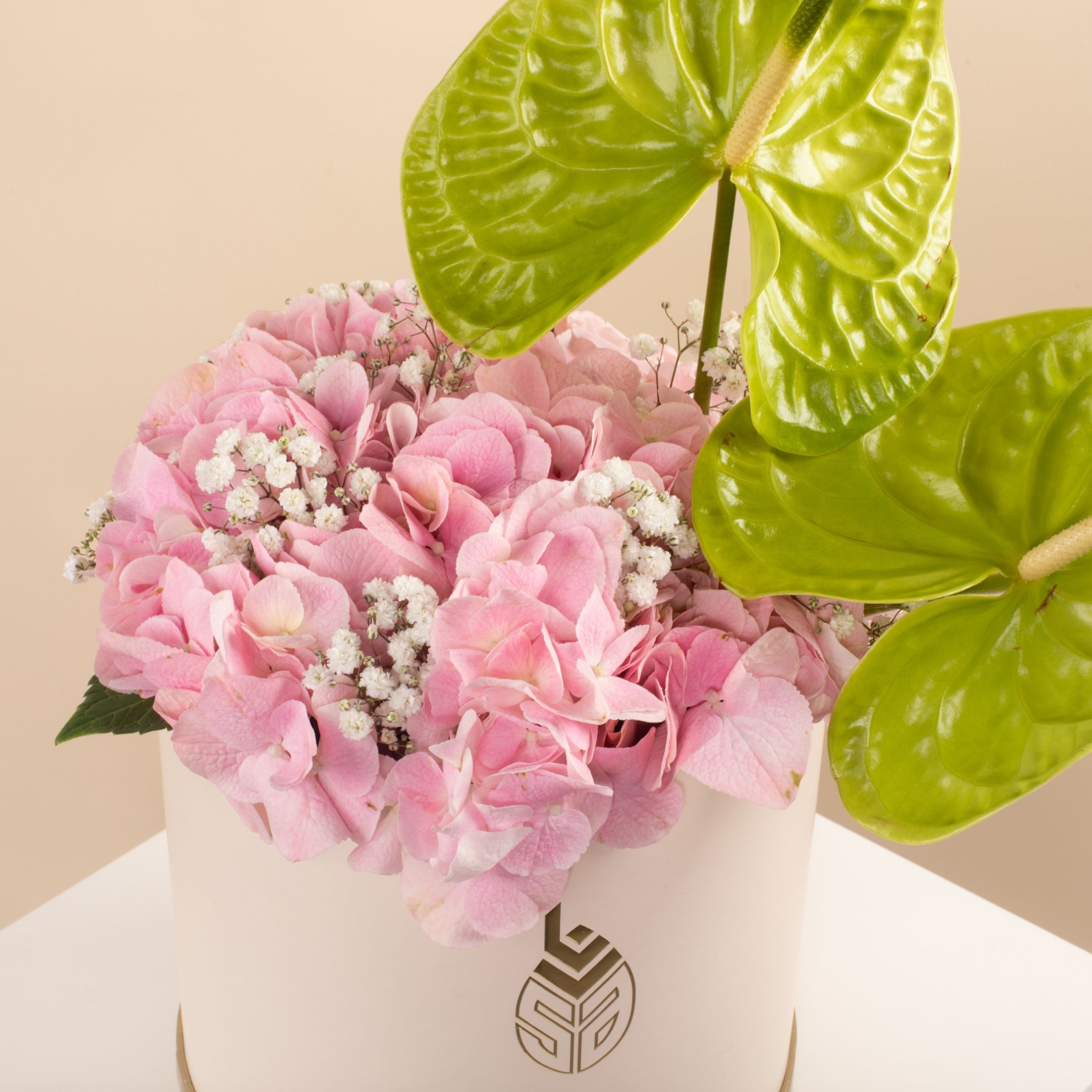 Picture of Graduation box |Anthurium Green