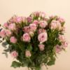 Picture of Graduation vase |Baby Rose Purple