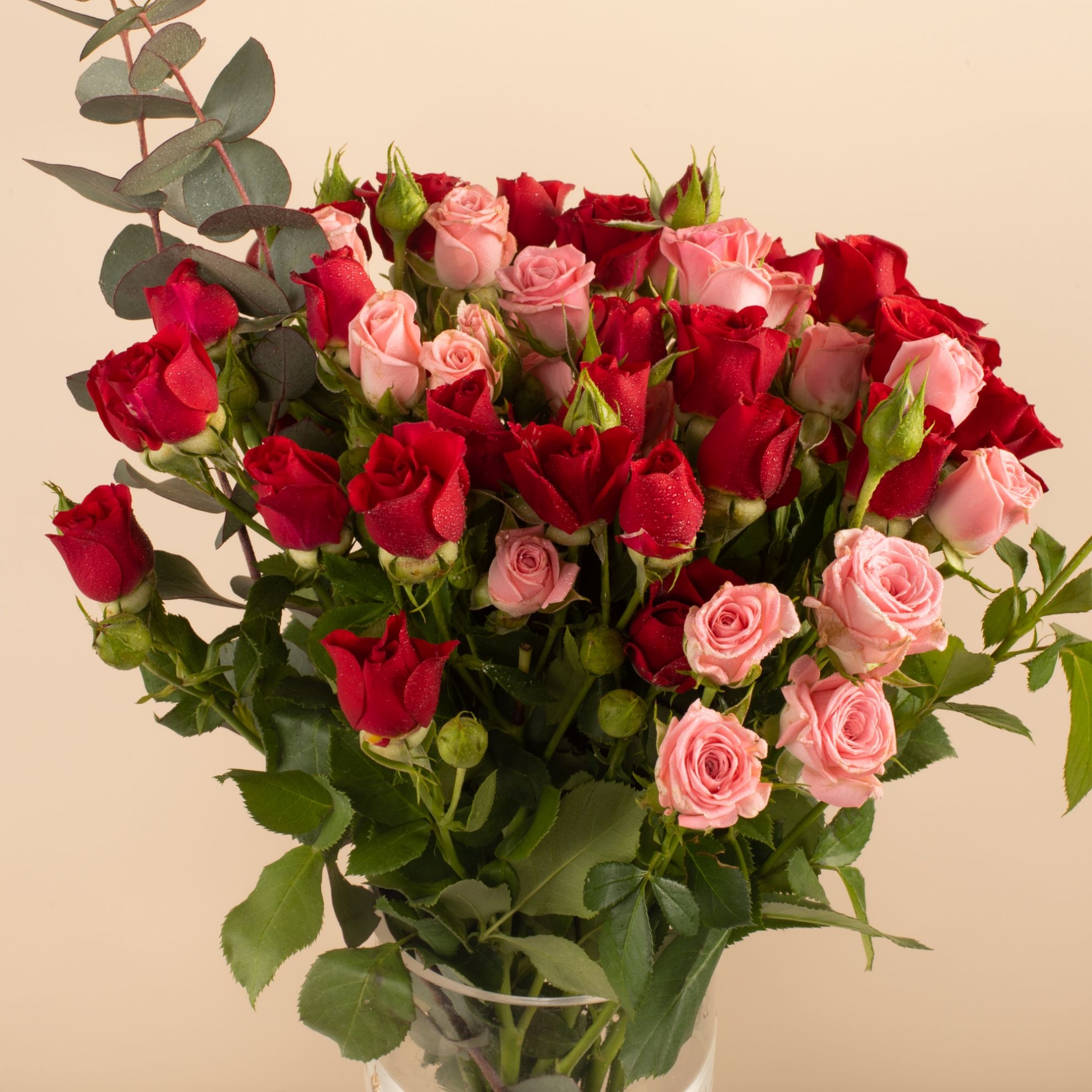 Picture of Graduation Vase |Baby Rose red & pink
