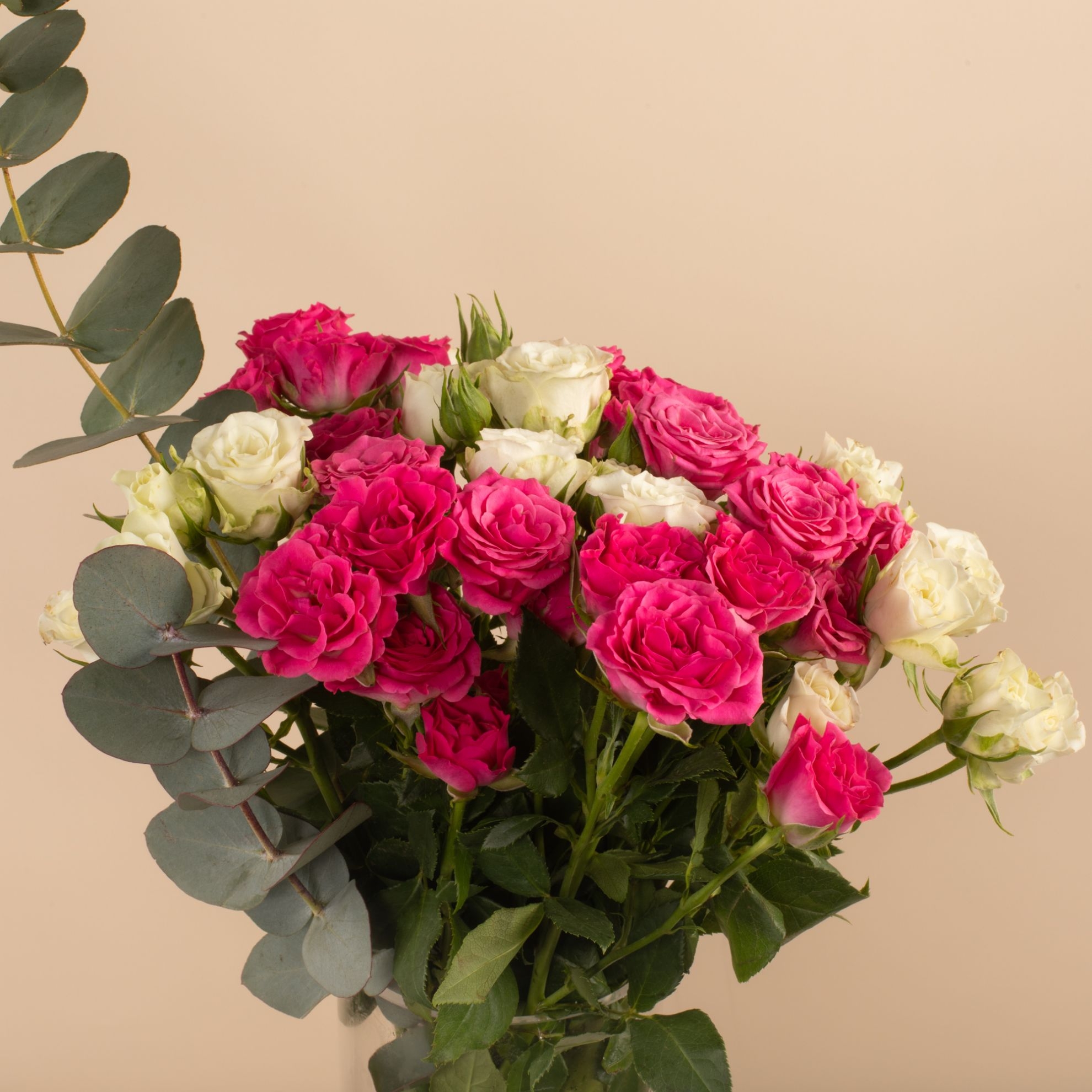 Picture of Graduation Vase | Baby Rose FuD38:D39chsia & White