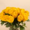 Picture of Graduation Vase | Yellow Roses