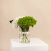 Picture of Graduation Vase |Hydrangea