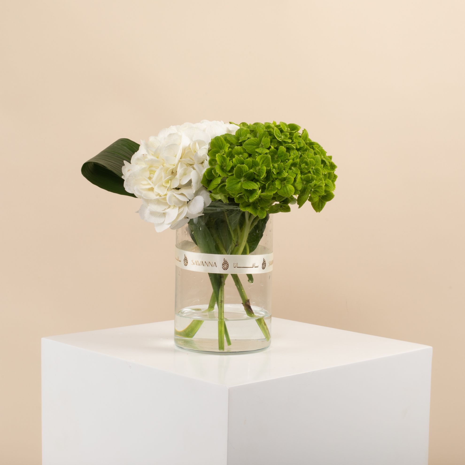 Picture of Graduation Vase |Hydrangea