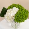 Picture of Graduation Vase |Hydrangea