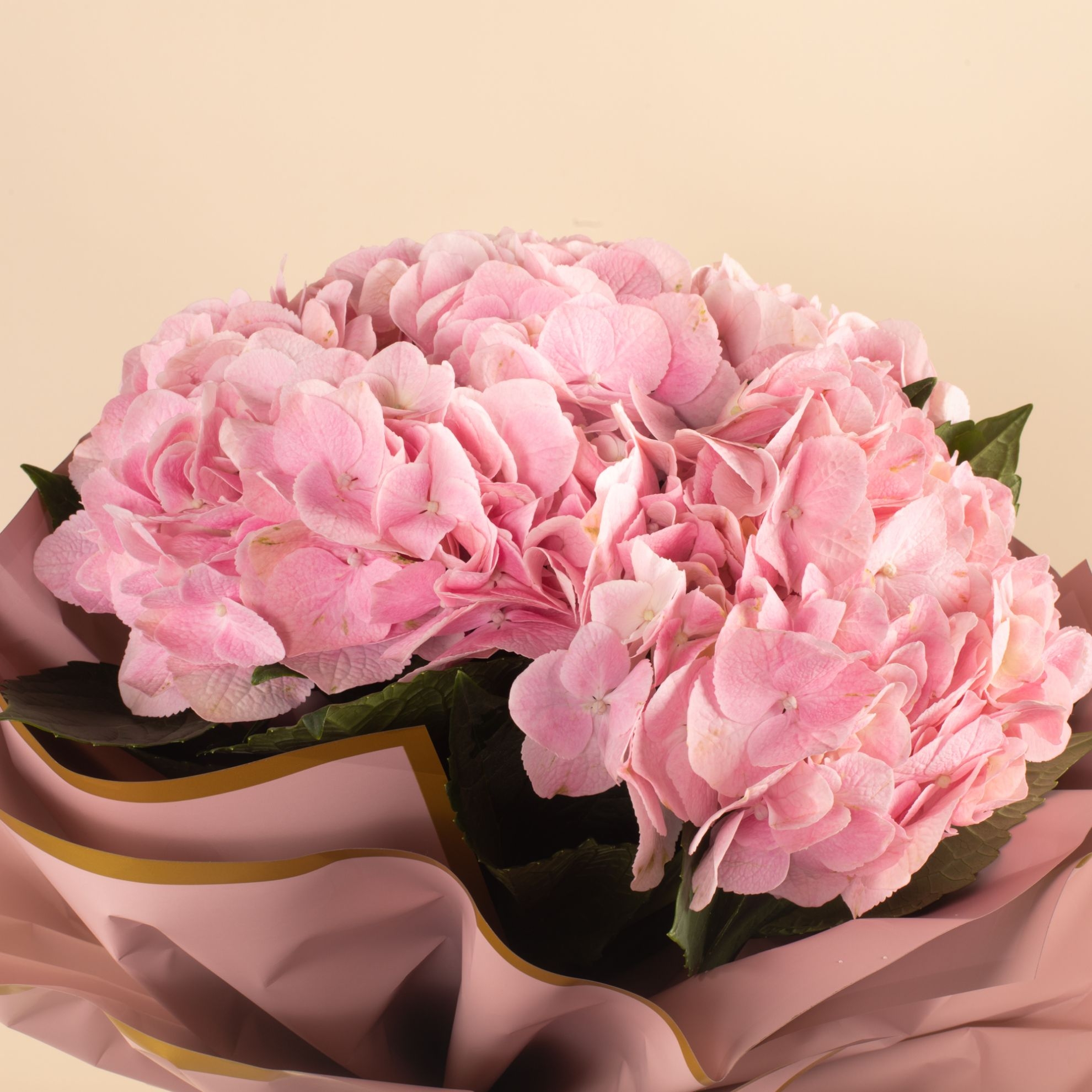 Picture of Savanna Bouquet |Hydrangea Pink