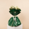Picture of Baby Rose White Flowers / Hand Bouquet