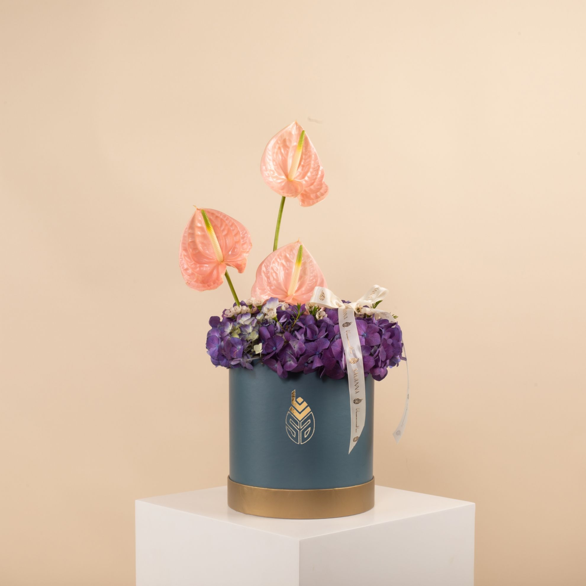 Picture of Savanna Box | Anthurium Pink