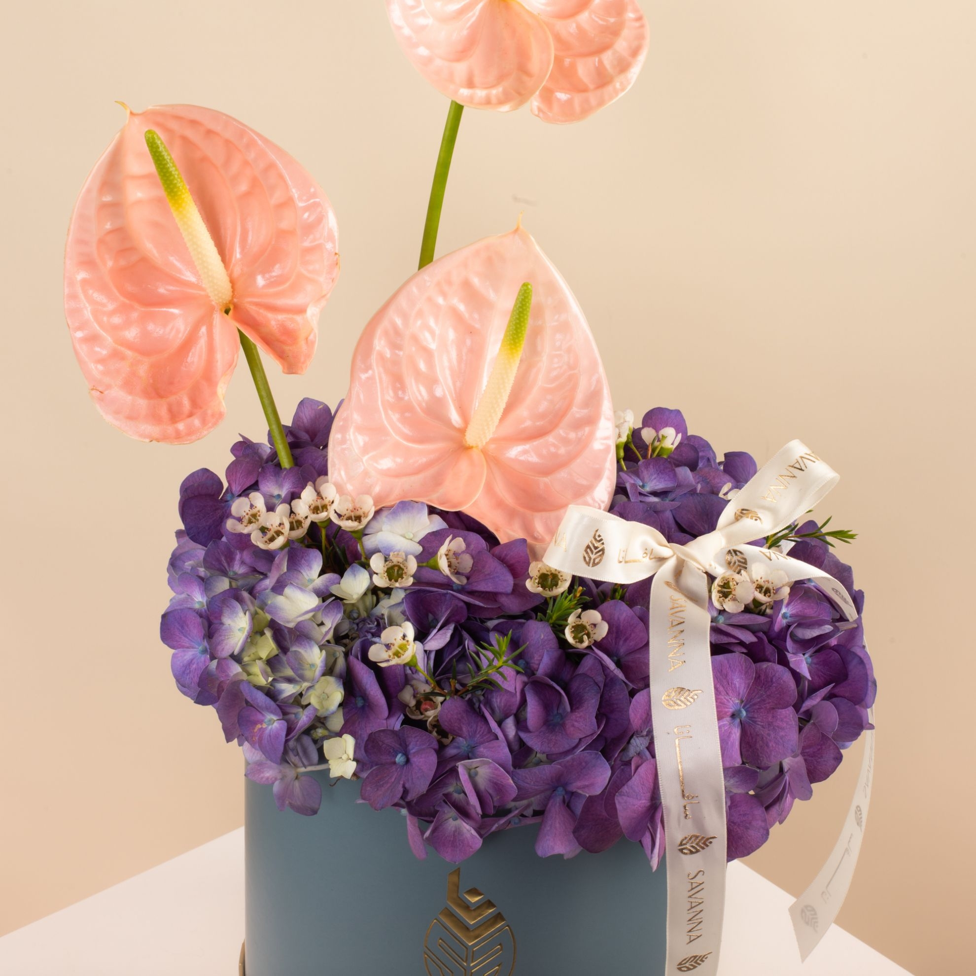 Picture of Savanna Box | Anthurium Pink