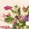 Picture of Imperial Petals