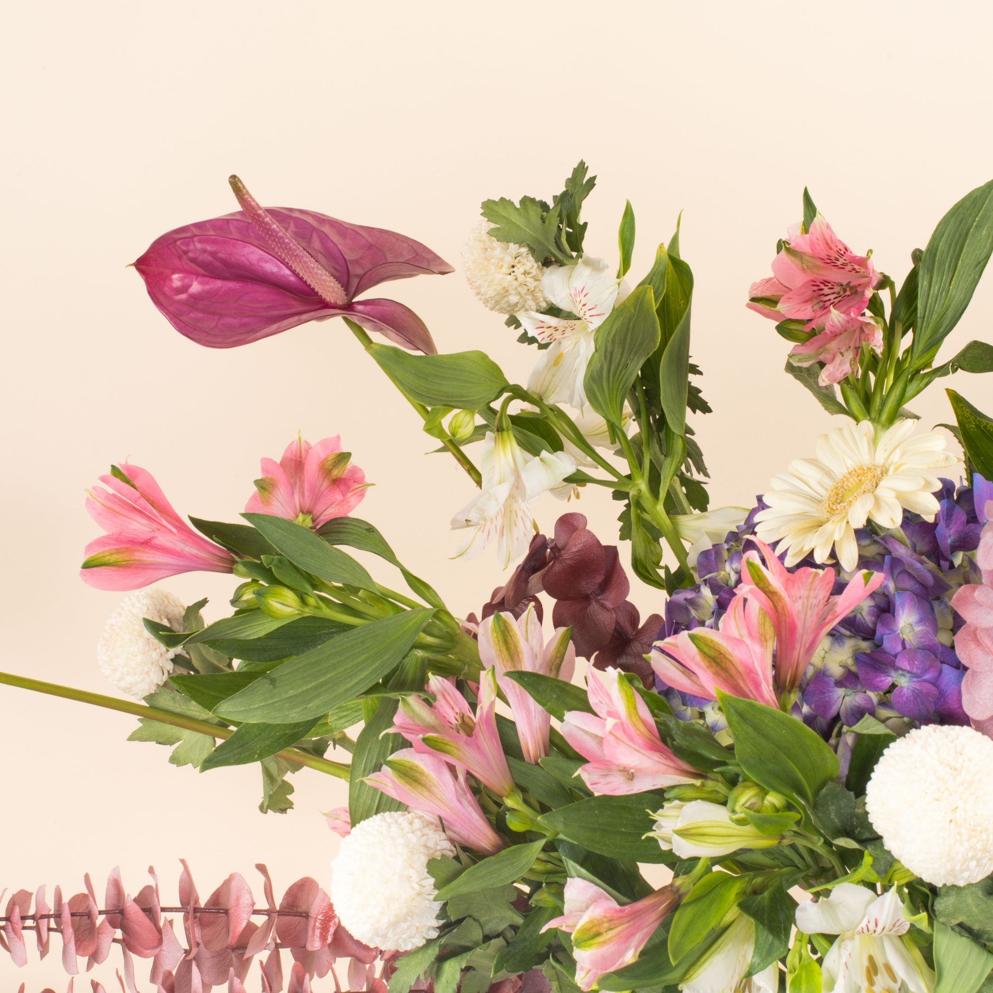Picture of Imperial Petals