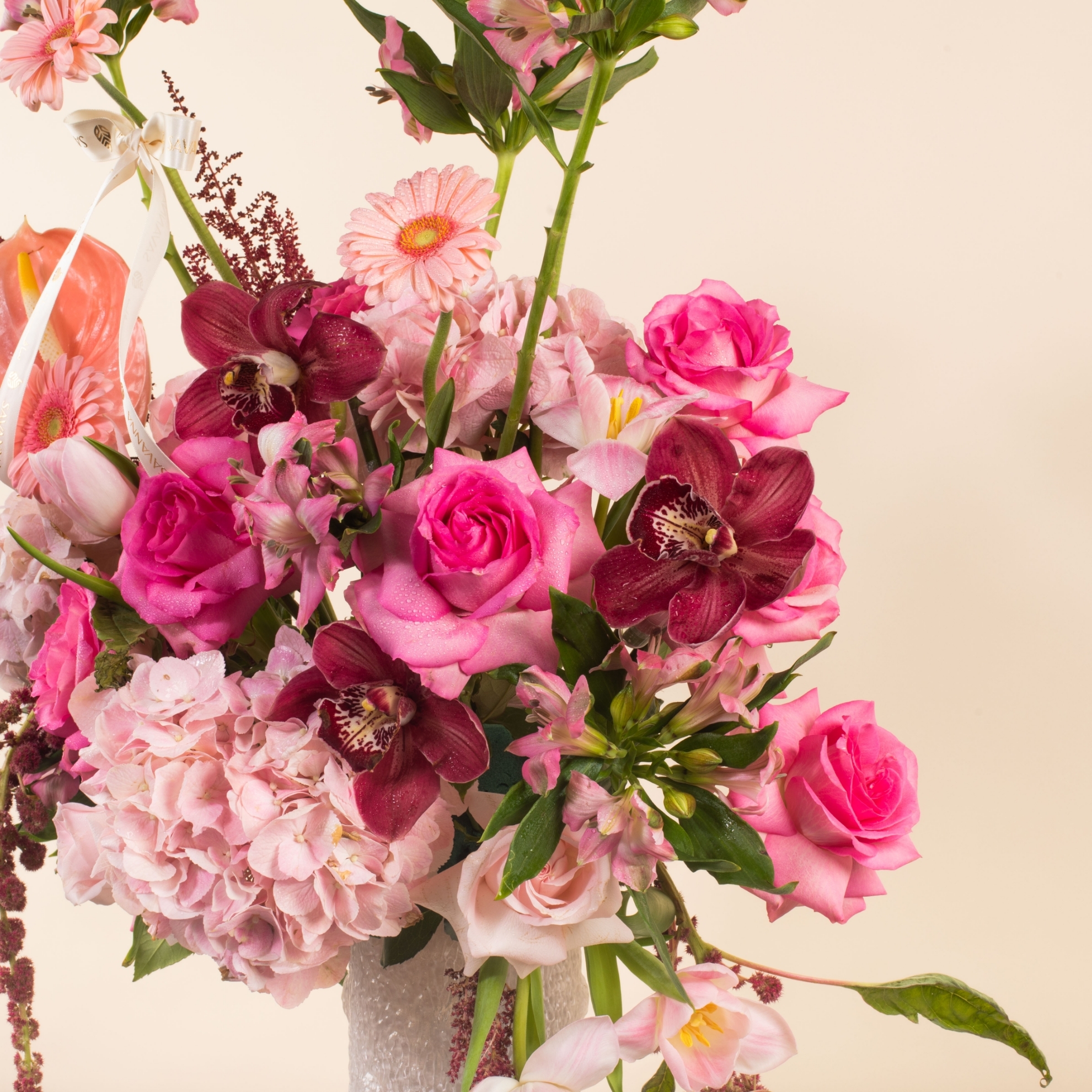 Picture of Prestige Blooms