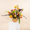 Picture of Exclusive Bloom Edition