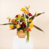 Picture of Exclusive Bloom Edition