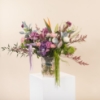 Picture of Grand Elite Blooms