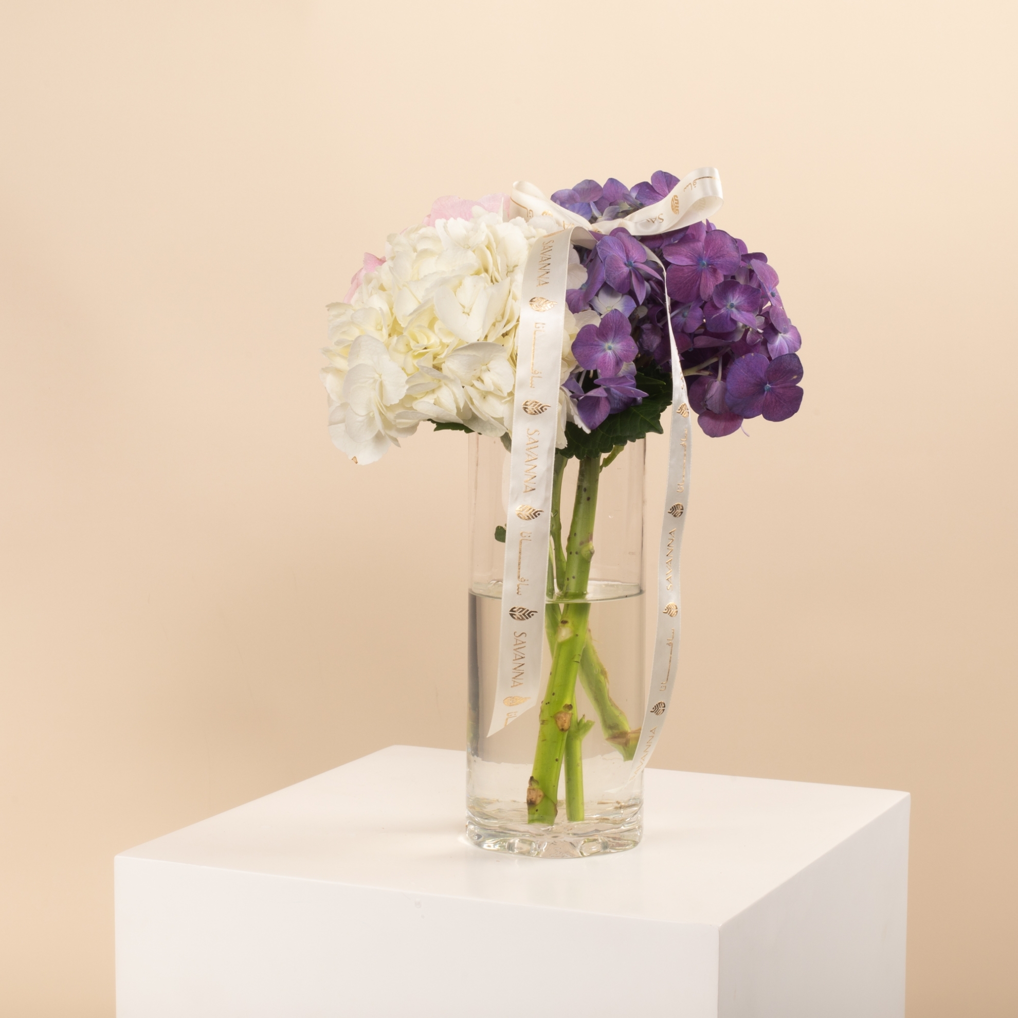 Picture of Birthday Hygrangea vase