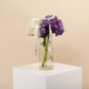 Picture of Birthday Hygrangea vase