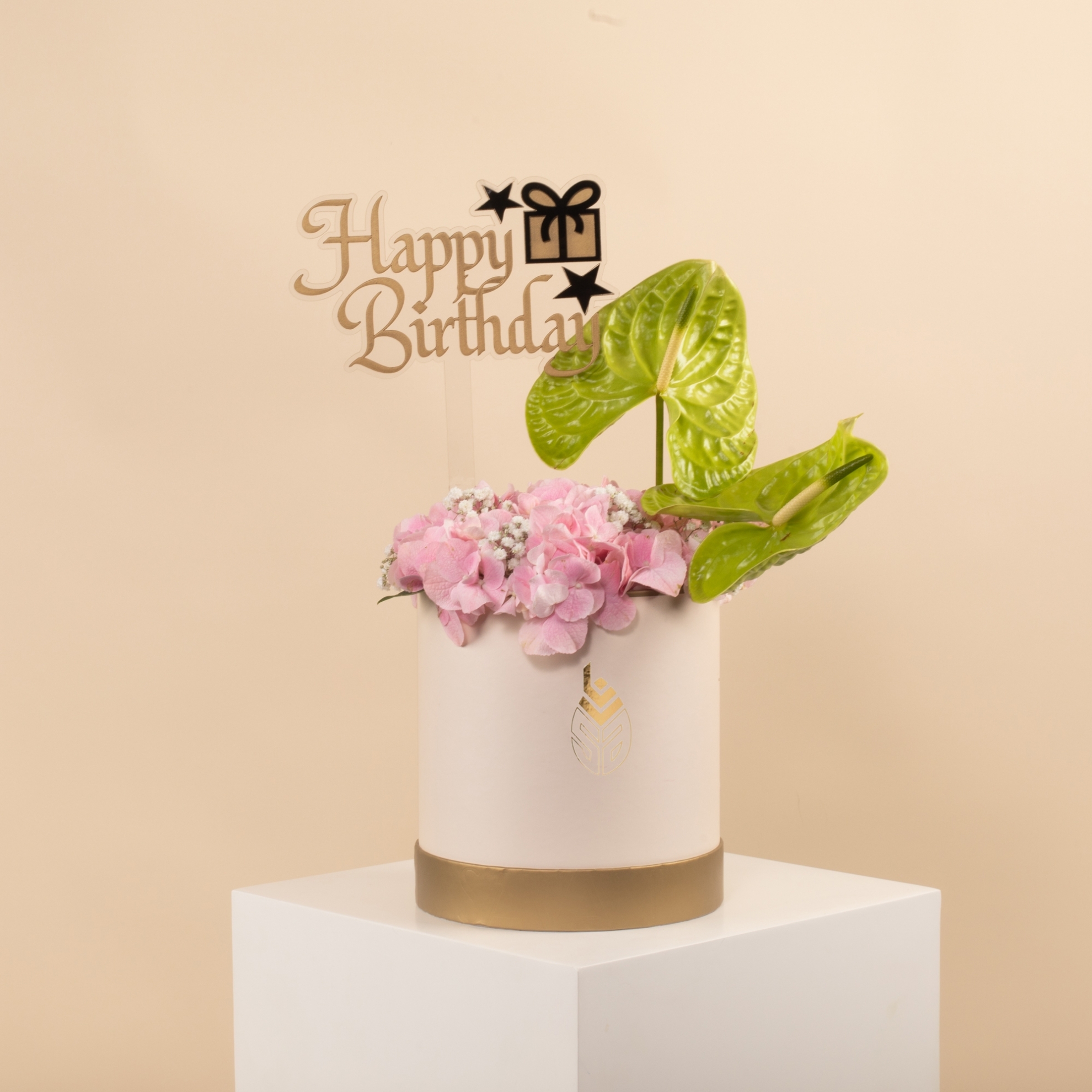 Picture of Birthday  box |Anthurium Green