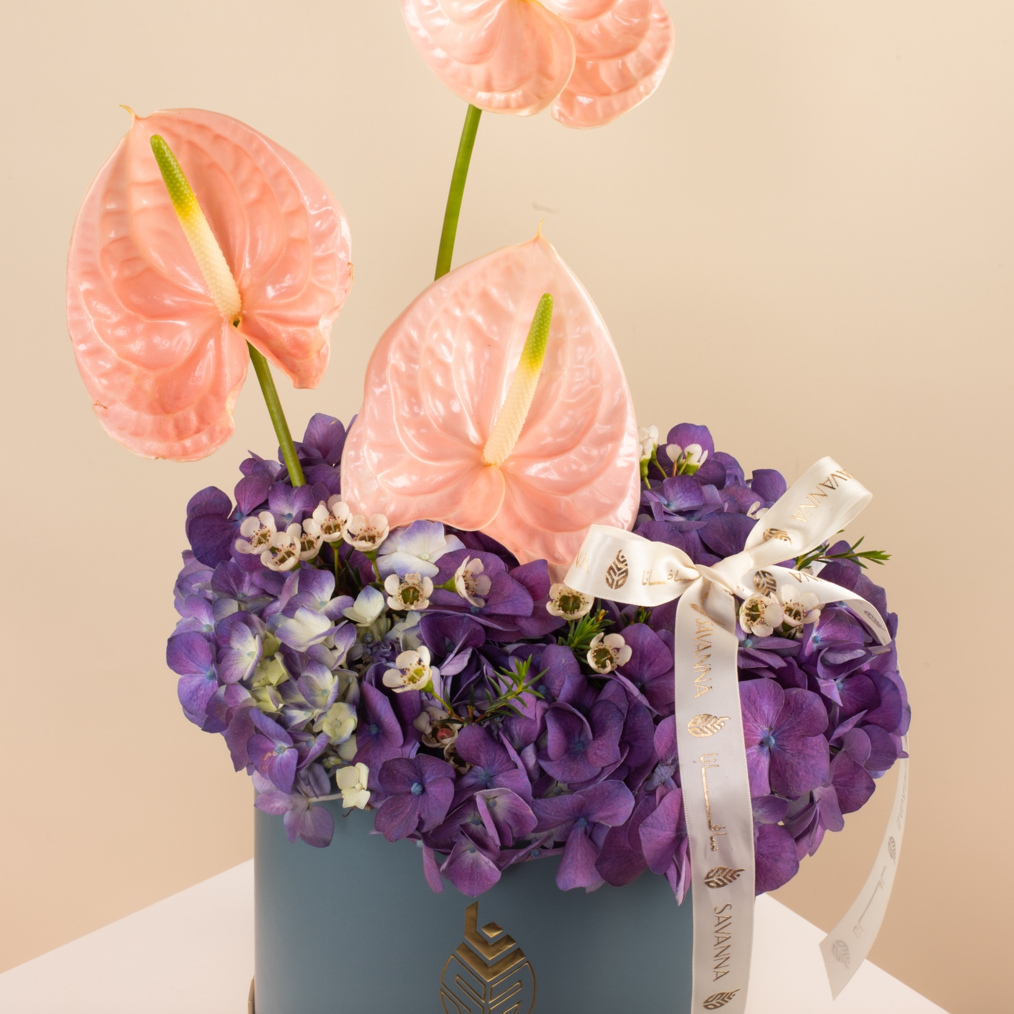 Picture of Birthday Box |Anthurium Pink