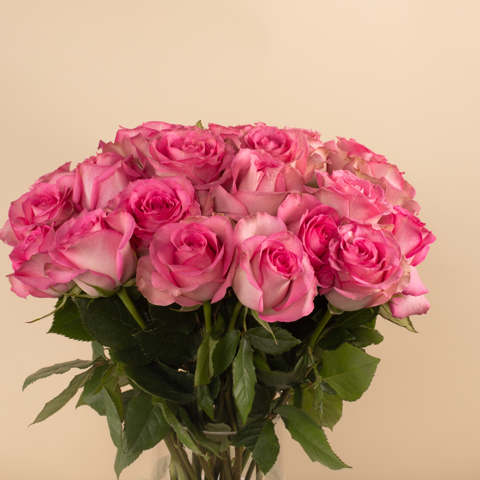 Picture of Birthday Vase | Fuchsia Roses