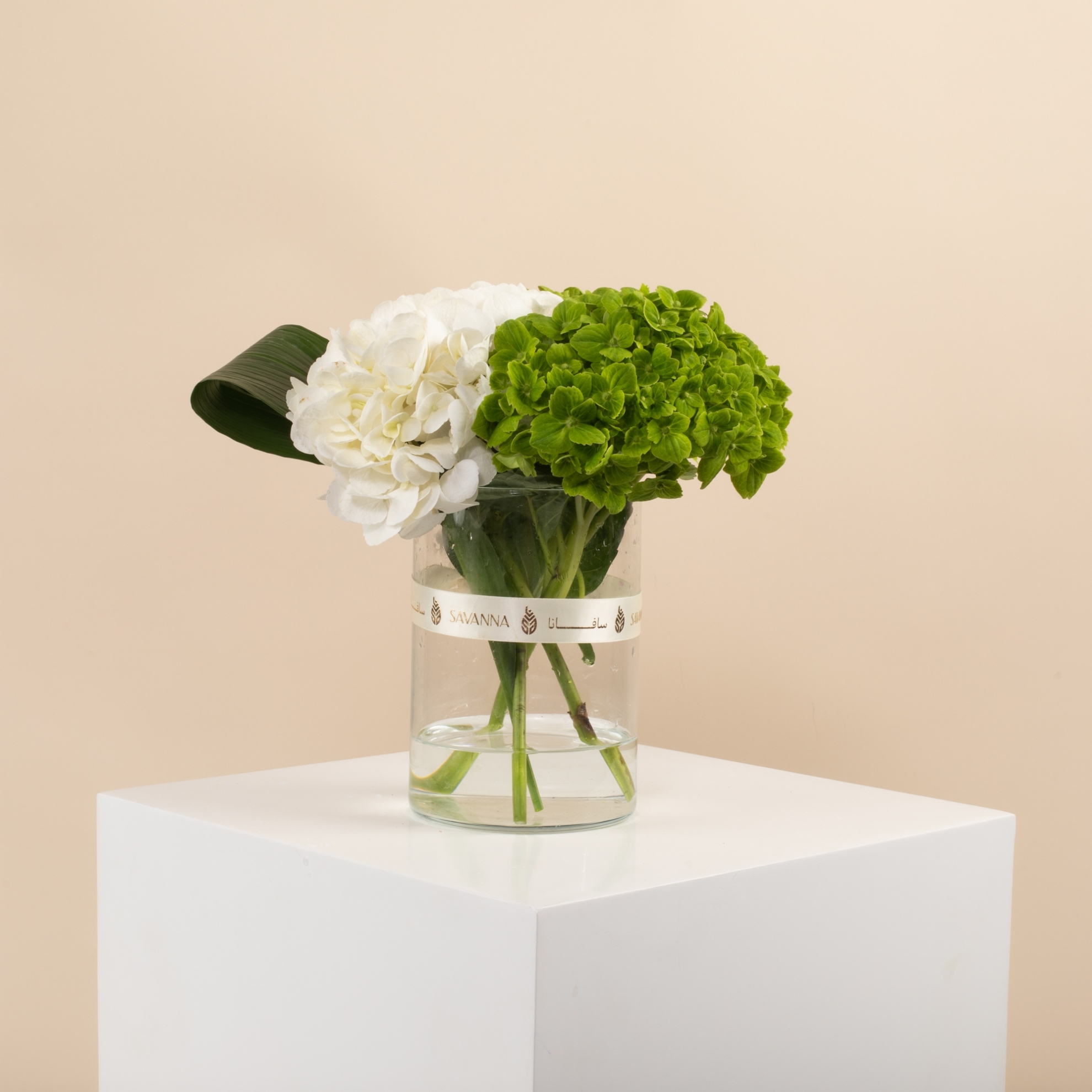 Picture of Birthday Vase |Hydrangea