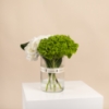 Picture of Birthday Vase |Hydrangea
