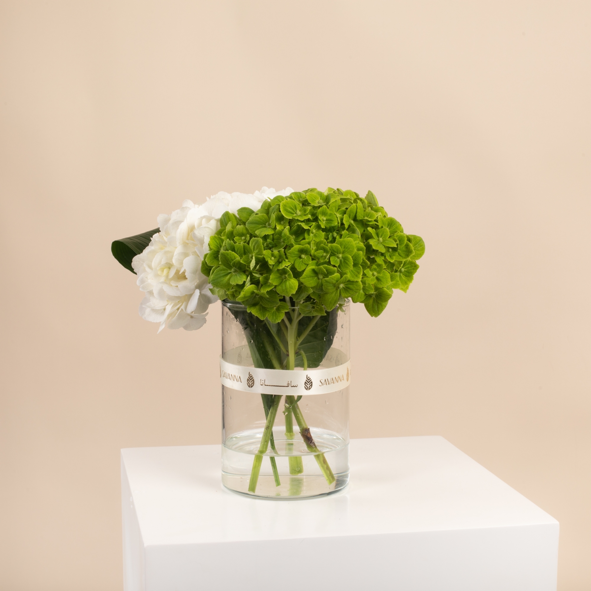 Picture of Birthday Vase |Hydrangea