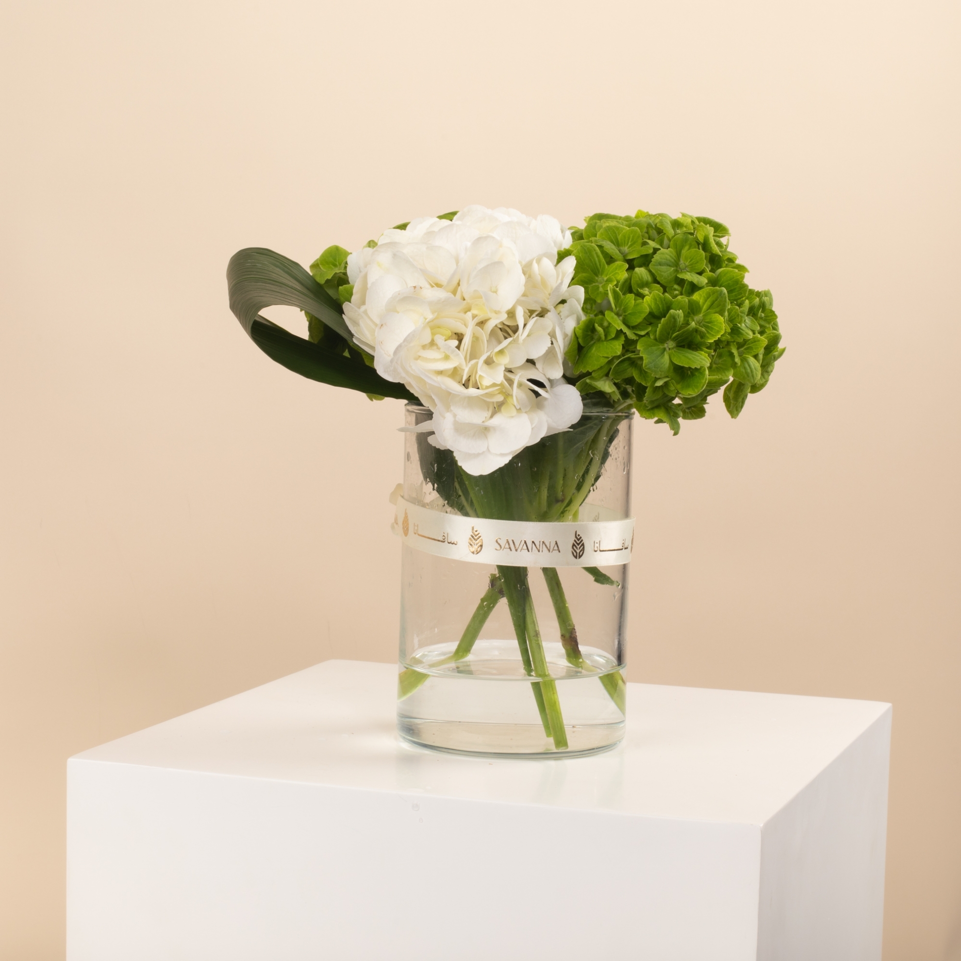 Picture of Birthday Vase |Hydrangea