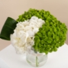 Picture of Birthday Vase |Hydrangea