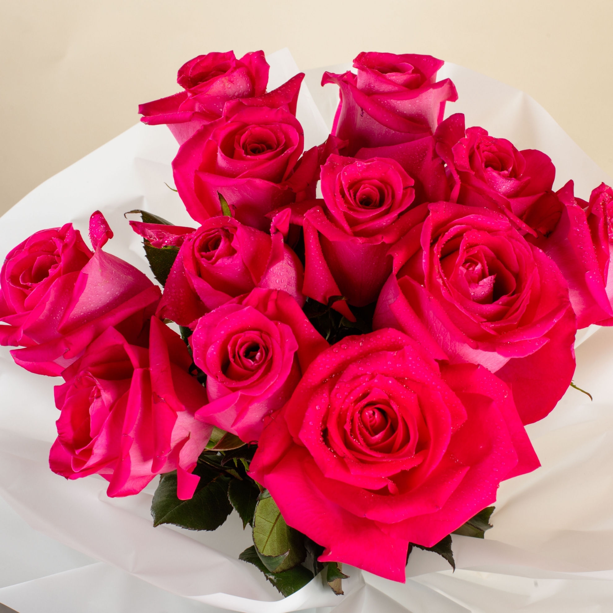 Picture of 12 Fuchsia Roses