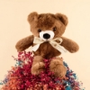 Picture of Savanna  Gypso Box | Teddy Bear