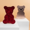 Picture of Pink Teddy Bear | Baby Rose Red