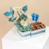 Picture of Its a Boy Chocolate Tray 9 Pcs