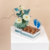 Picture of Its a Boy Chocolate Tray 9 Pcs