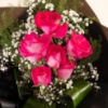 Picture of Sweet Fuchsia