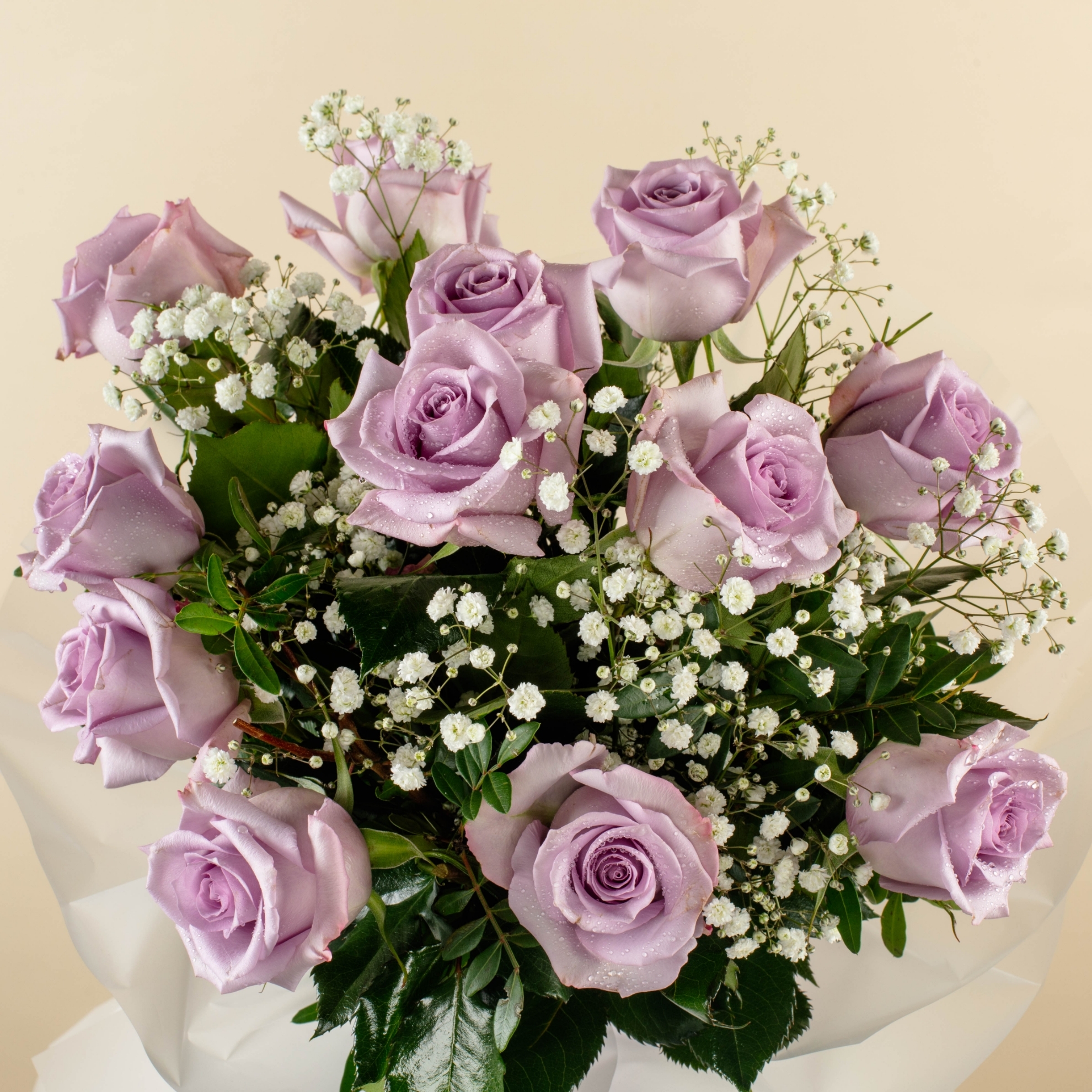 Picture of 10 Purple Rose
