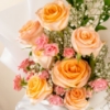 Picture of Pink Peach Harmony